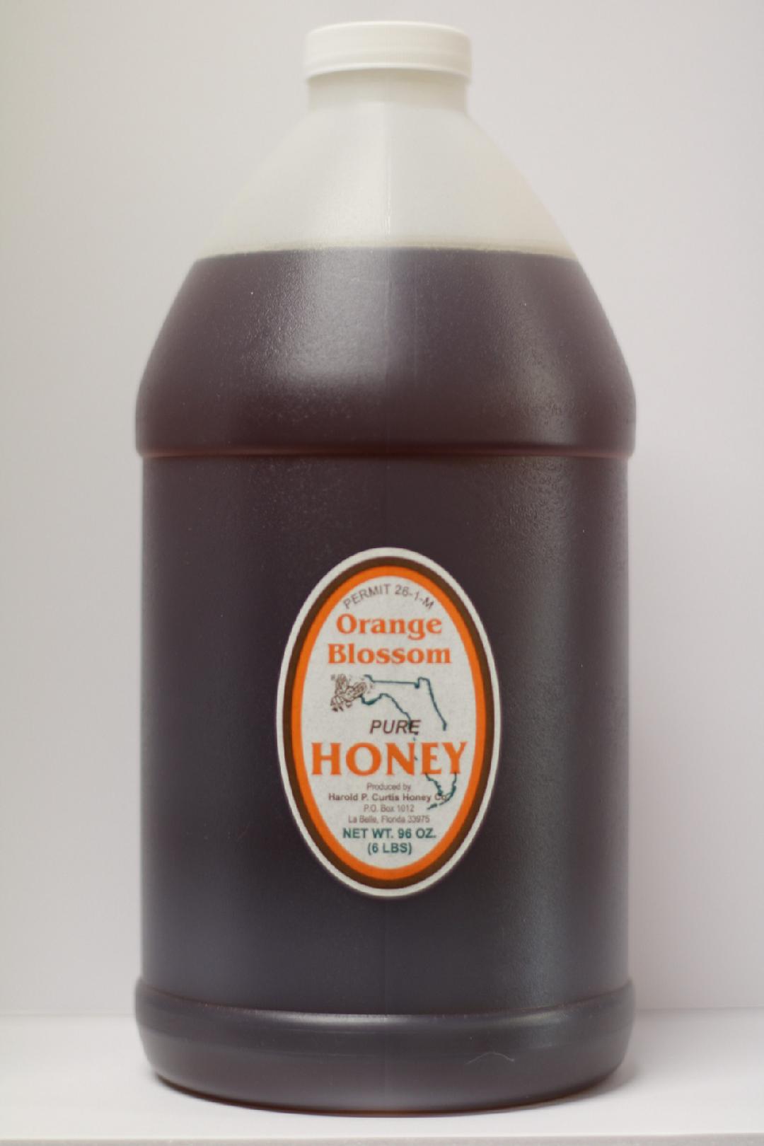 6 lb Orange Blossom Honey
